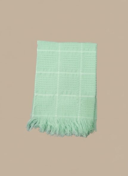 Mint green throw blanket with grid design and fringed edges, folded neatly on beige background.