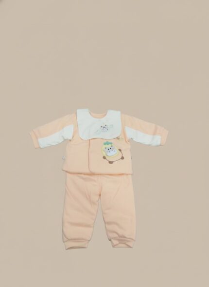 Baby wearing a light peach sweater with a white bib, featuring a cute animal appliqué on the sweater and embroidered clouds on the bib, paired with matching peach pants.