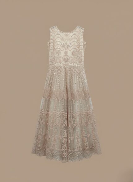 Sleeveless embroidered beige net maxi dress with intricate patterns on a neutral background.