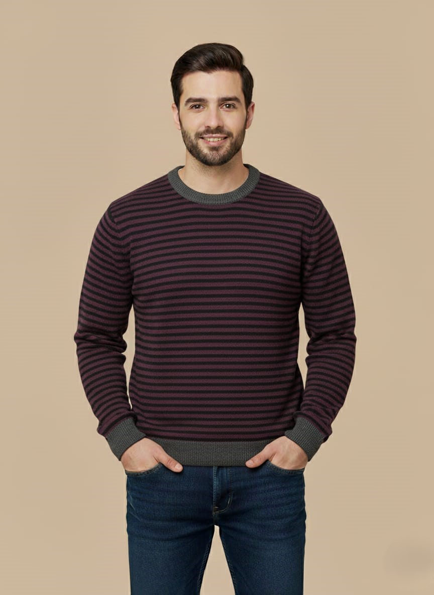 WhatsApp Image 2025-10-22 at 5.47.27 PM (1) Men's Striped Knit Sweater - Classic Crew Neck Long Sleeve Pullover - Image 1